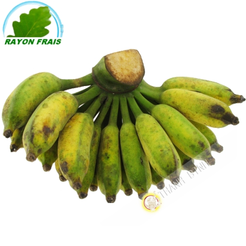 Banana Chuoi Su Vietnam 2kgs COSTS