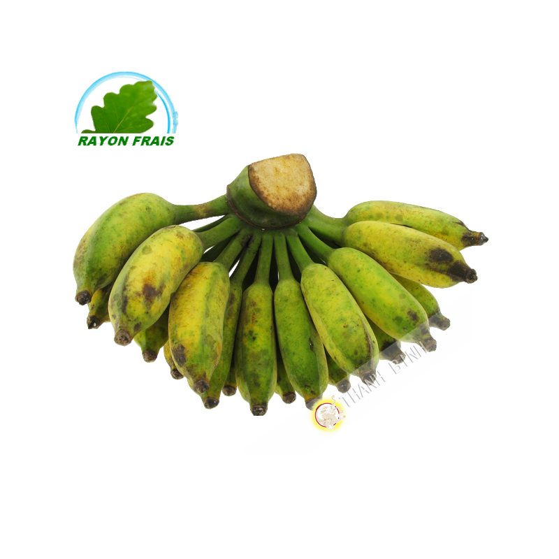 Banana Chuoi Su Vietnam 4pcs - COSTS - Approx. 500g