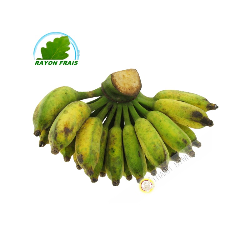 Plátano Chuoi Su Vietnam 2kgs COSTOS