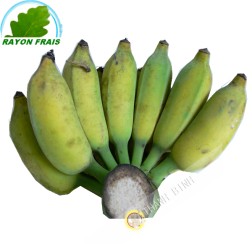 Banana Chuoi Su Vietnam 4pcs - COSTS - Approx. 500g