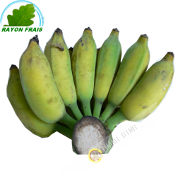 Banane Chuoi Su Vietnam 2kgs - FRAIS