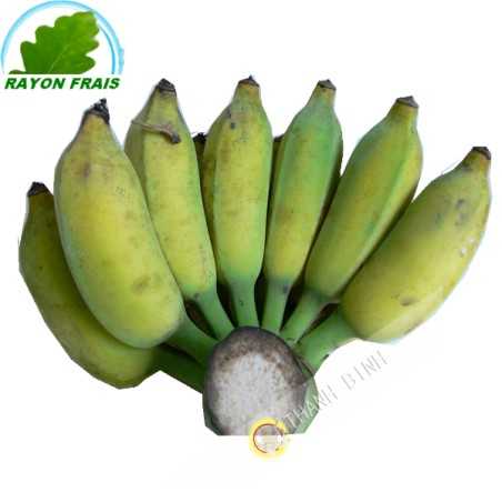 Plátano Chuoi Su Vietnam 2kgs COSTOS