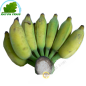 Banana Chuoi Su Vietnam 4pcs - COSTS - Approx. 500g