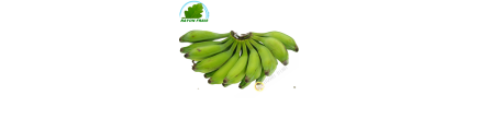 Banane verte pour salade Vietnam (pièce)- FRAIS - Env. 100g