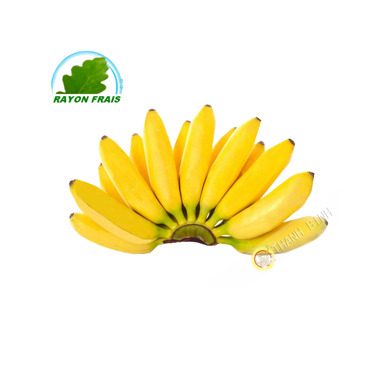 Bananitos Equateur (kg)- FRAIS