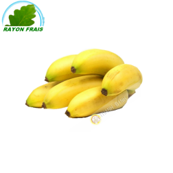 Bananitos Ecuador (kg)- COSTI