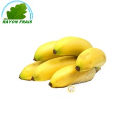 Bananitos Ecuador (kg)- KOSTEN