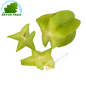 La carambola Malasia - HONORARIOS