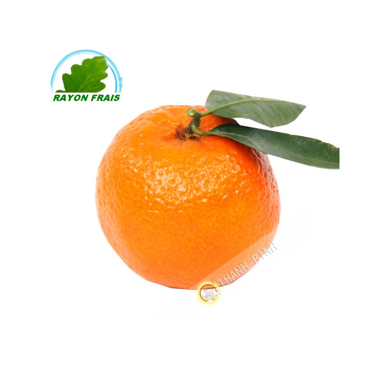 Clementine (kg)