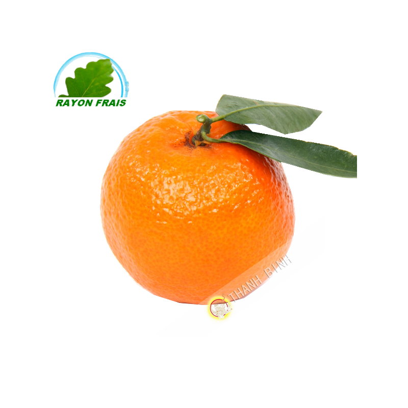 ClementineEspagne (kg)- COST