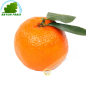 ClementineEspagne (kg)- COST