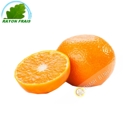 Clementine (kg)- Espagne- COSTO