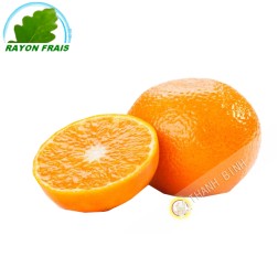 Quýt - Tây Ban Nha (kg ) - Hàng tươi