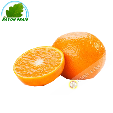 Clementine (kg)- Espagne- COSTO