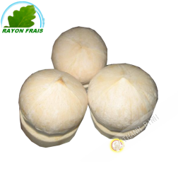Noce di cocco fresca (camera)- COSTI