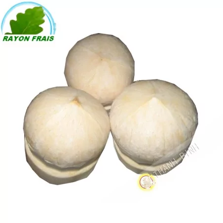 Noix de Coco xiem Ben Tre frais (1 pièce) - FRAIS