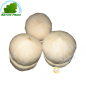 Coconut fresh (room)- COSTS