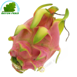 Frutta Drago - Pittaya (camera)- COSTO - Ca. 400gg