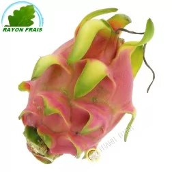 La fruta del Dragón - Pittaya (habitaciones)- COSTO - Aprox. 400gg