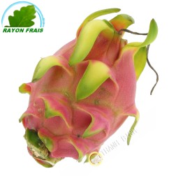 Thanh long - Pittaya ( quả)- Tươi - Khoảng 700g