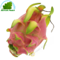 Fruit Dragon blanc - Pittaya (pièce) par avion- FRAIS - Env. 400g