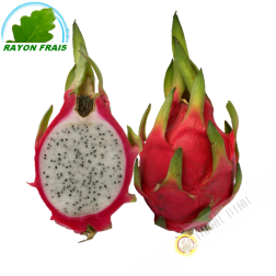 Drachenfrucht - Pittaya (kg)