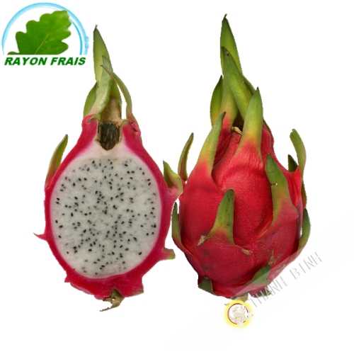 Fruit Dragon - Pittaya (pièce) par avion- FRAIS - Env. 400g