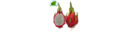 Frucht Dragon - Pittaya (stück)- KOSTEN - Ca. 400gg