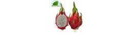Fruit Dragon blanc - Pittaya (pièce) par avion- FRAIS - Env. 400g