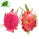Drachenfrucht rot - Pittaya rot (kg)