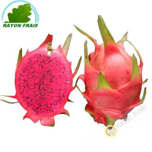 Frucht der rote Drache - Pittaya rot (stück)- KOSTEN - Ca. 500g