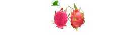 Frucht der rote Drache - Pittaya rot (stück)- KOSTEN - Ca. 500g