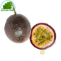 Passion Fruit Vietnam (room)- COST - Approx. 80g