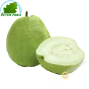 Guava Vietnam - FRESH (kg)
