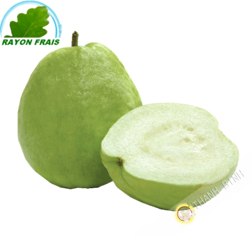 Guava Vietnam - FRESCO - Ca. 1.5kg