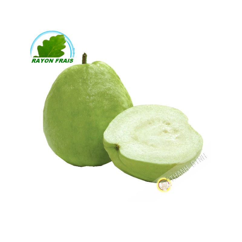 Guava Vietnam (kg)