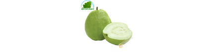 Guave Vietnam -  KOSTEN - Ca. 1.5kg