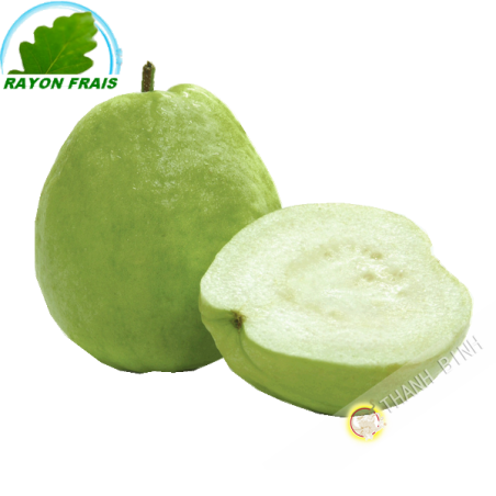 La guayaba de Vietnam - FRESCO (kg)