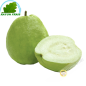 La guayaba de Vietnam - FRESCO (kg)