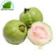 Goyave Vietnam (300g)