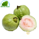Guava Vietnam (kg)