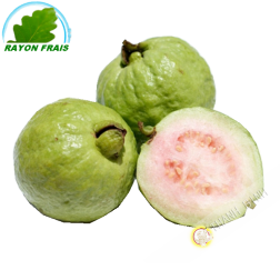 Guava Vietnam - FRESCO (kg)