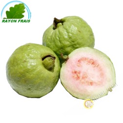 Ổi Việt Nam ( quả )- tươi (kg)