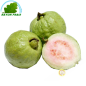La guayaba de Vietnam - FRESCO (kg)