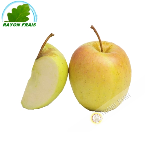 Apple golden France (kg)- COSTS