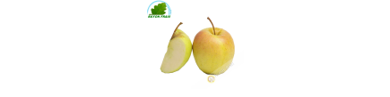 Apple golden France (kg)- COSTS