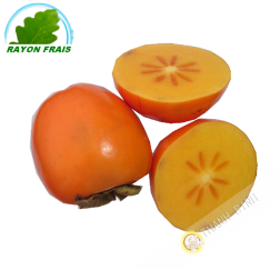 Khaki Spagna - FRESCA kg
