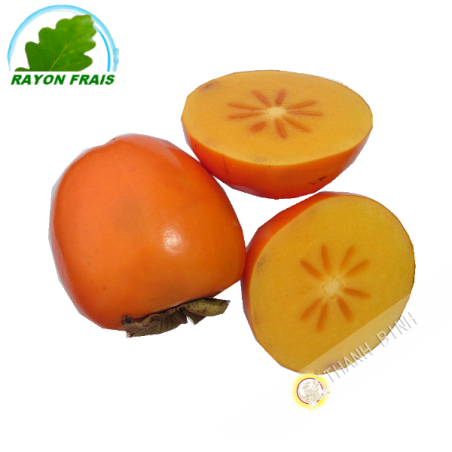 Khaki Spagna - FRESCA kg