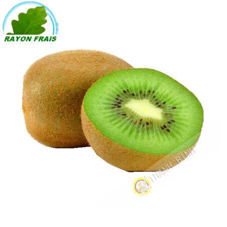 Il Verde Kiwi Grecia (Net-3 unità)- COSTI