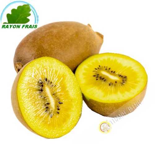 Kiwi jaune Italie (4 pièce) - FRAIS